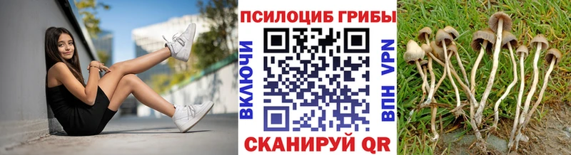 Галлюциногенные грибы мухоморы  наркошоп  Муравленко 