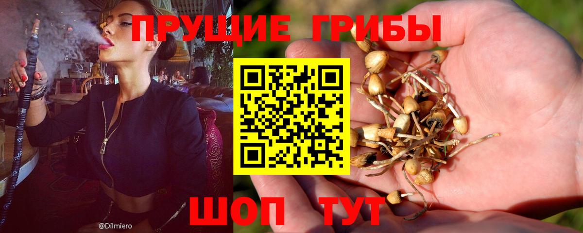Галлюциногенные грибы MAGIC MUSHROOMS Муравленко