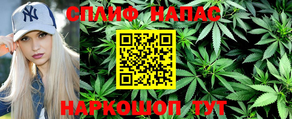 Конопля индика Муравленко